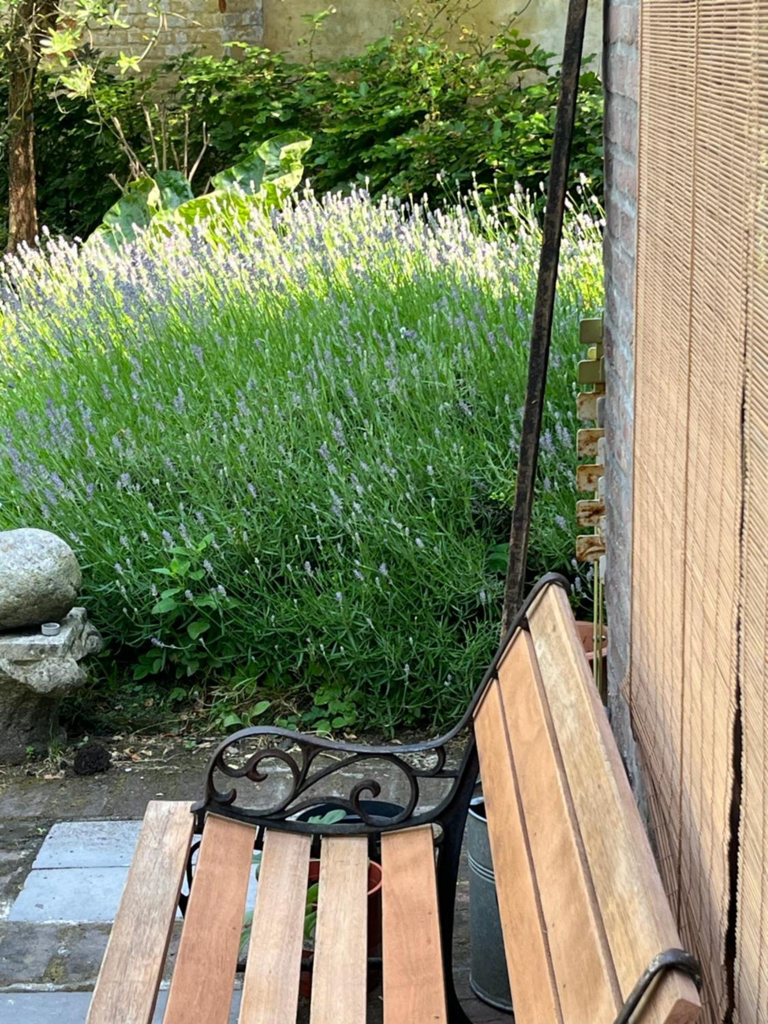 Artuur Bed & Breakfast Brugge Bagian luar foto
